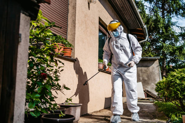 Best Local Pest Control Services  in Pomona, KS