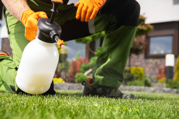 Best Exterminator Services  in Pomona, KS