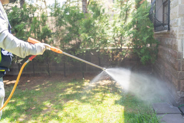 Best Ant Control Services  in Pomona, KS