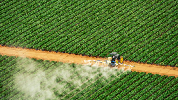 Best Mosquito Control Services  in Pomona, KS
