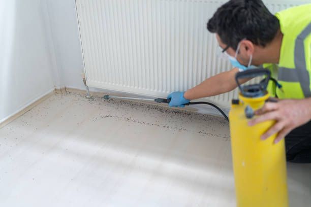 Best Cockroach Control Services  in Pomona, KS