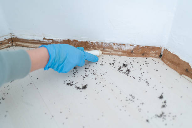 Best Pest Control Near Me in Pomona, KS