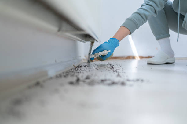 Best Termite Control Services  in Pomona, KS